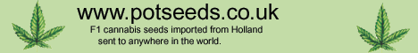 www.potseeds.co.uk