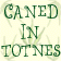 Caned In Totnes