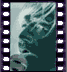 click to enlarge image