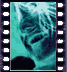 click to enlarge image