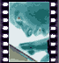 click to enlarge image