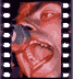 click to enlarge image