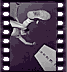 click to enlarge image