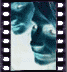 click to enlarge image