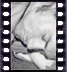 click to enlarge image