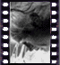 click to enlarge image