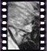 click to enlarge image