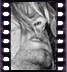click to enlarge image
