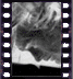 click to enlarge image