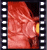 click to enlarge image