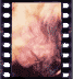 click to enlarge image