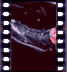 click to enlarge image