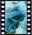 click to enlarge image