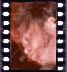 click to enlarge image