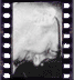 click to enlarge image