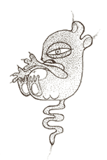Drawings