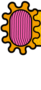 Herbie character