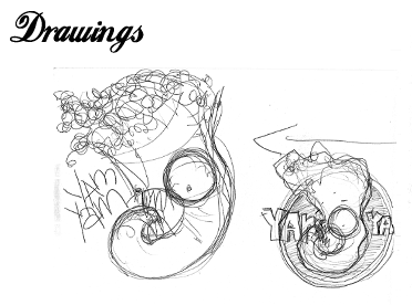 Drawings 1